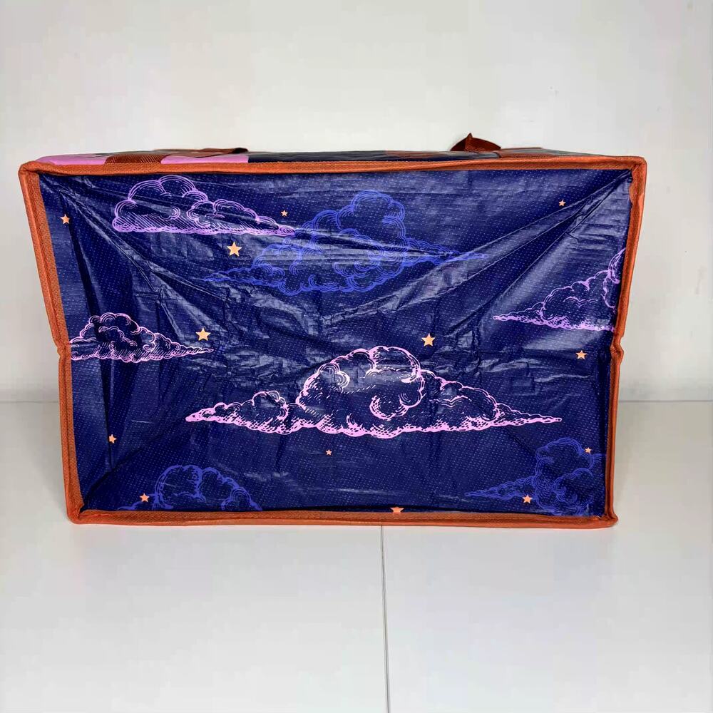 LOT 3x — Trader Joe’s Stand-Up Collapsable Grocery Tote Bag Box Car Storage NWT! - Picture 12 of 13